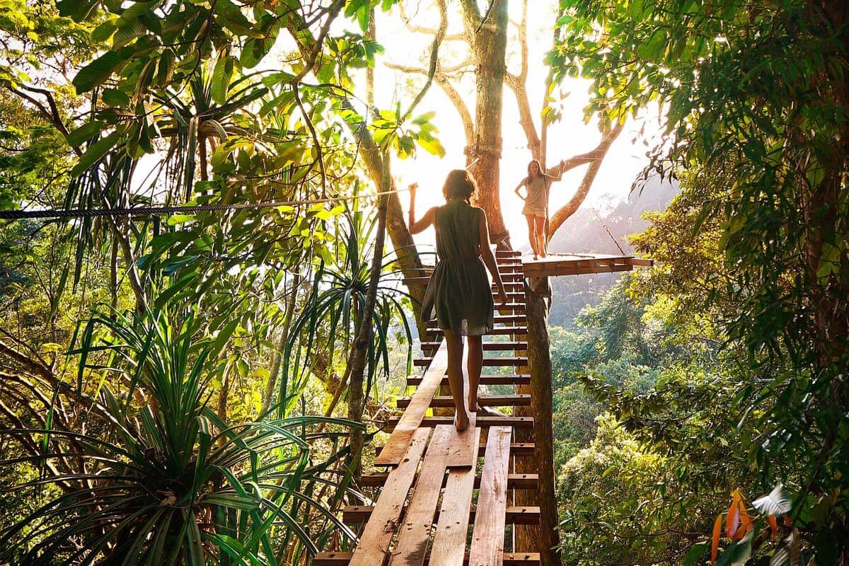 Costa RIca - Rainforest